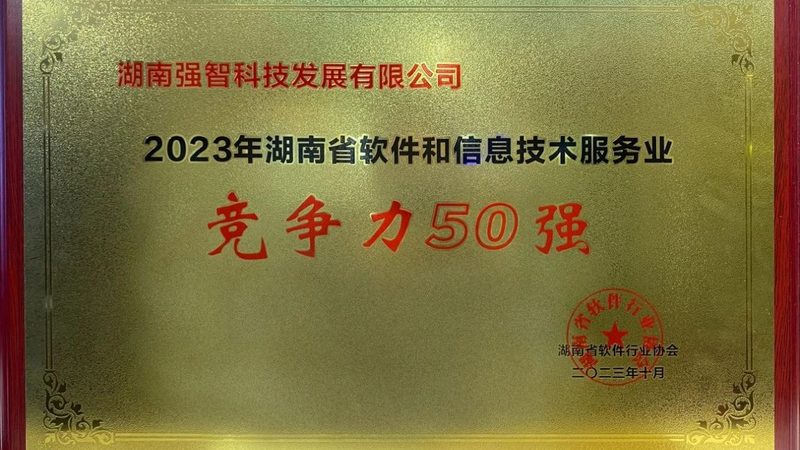 网络维护与系统集成：揭秘优质厂家的核心要素