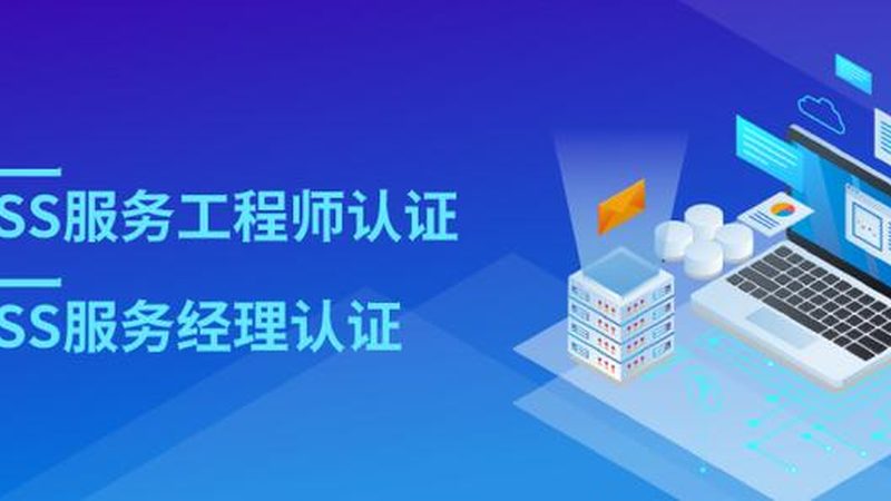 信息技术咨询公司排名背后的考量因素**